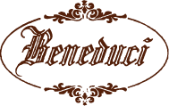 logo beneduci